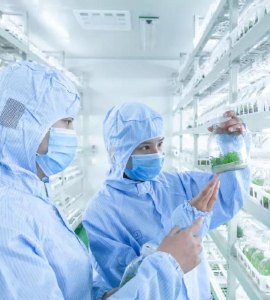 好色视频下载技术