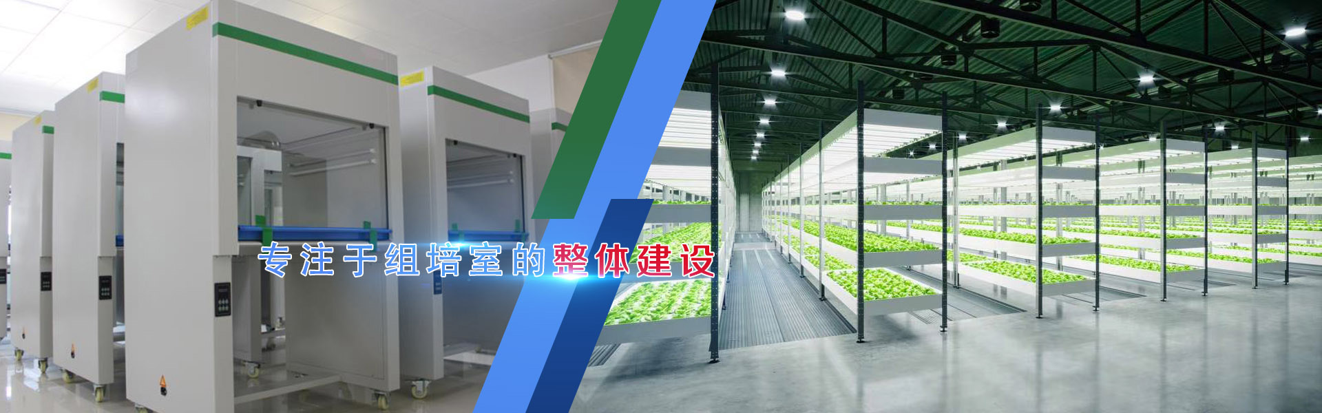 好色视频下载、好色视频下载架