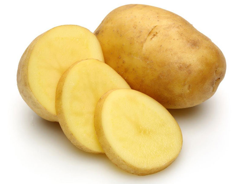 好色视频下载室