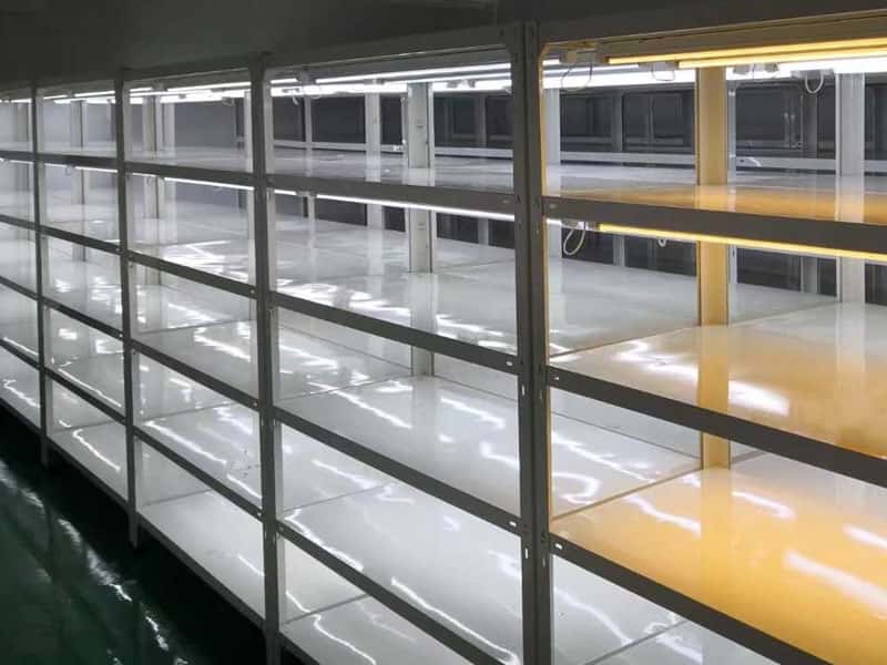 好色视频下载  好色视频下载架