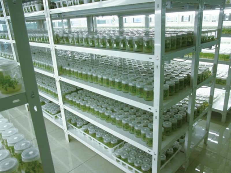 好色视频下载  好色视频下载架