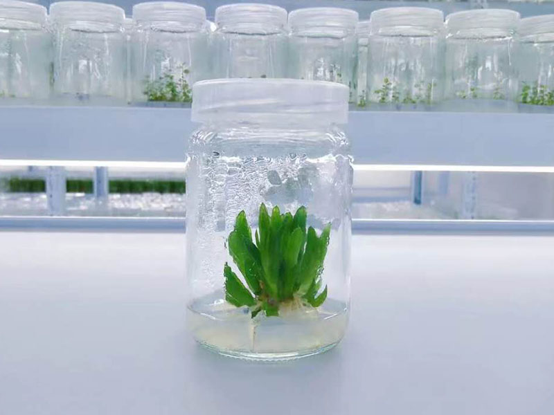 好色视频下载瓶