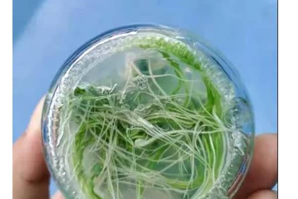 好色视频下载室