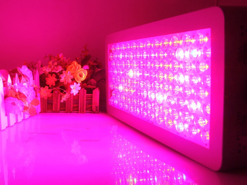 好色视频下载设备