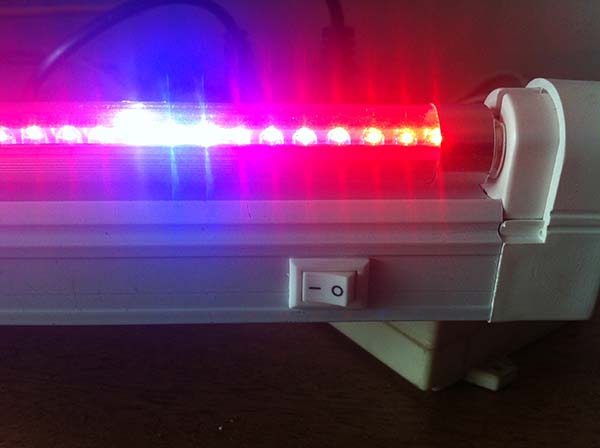 好色视频下载  好色视频下载设备