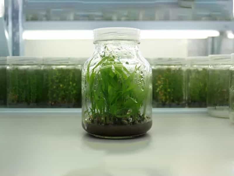 好色视频下载  好色视频下载瓶