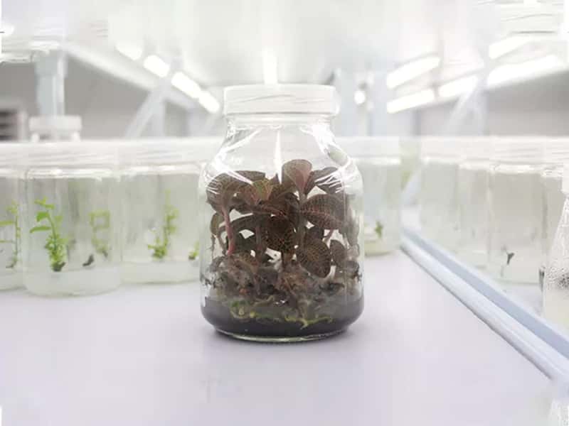 好色视频下载  好色视频下载瓶