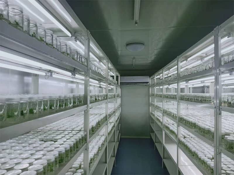 好色视频下载  好色视频下载设备  植物好色视频下载