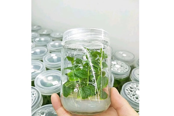 好色视频下载设备