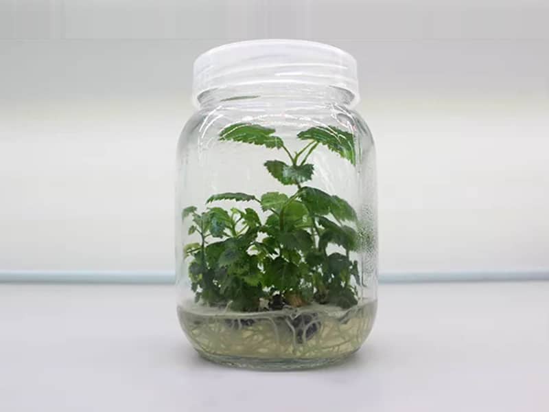 好色视频下载  好色视频下载瓶