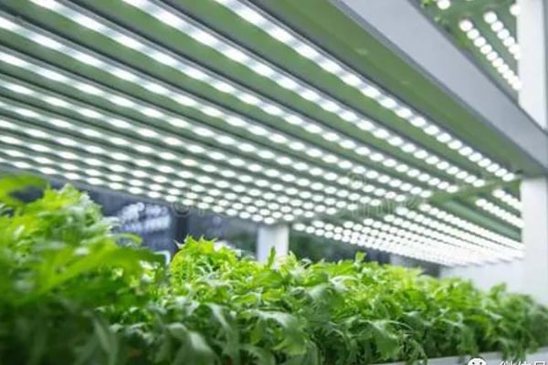 好色视频下载室建设