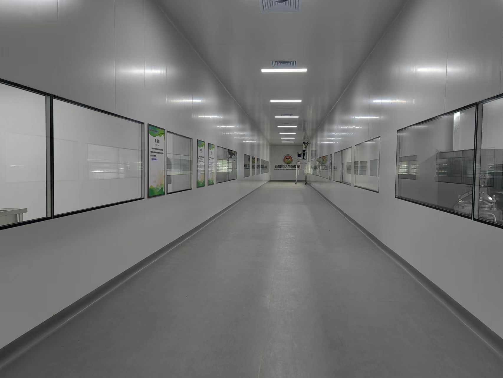 好色视频下载室净化预算