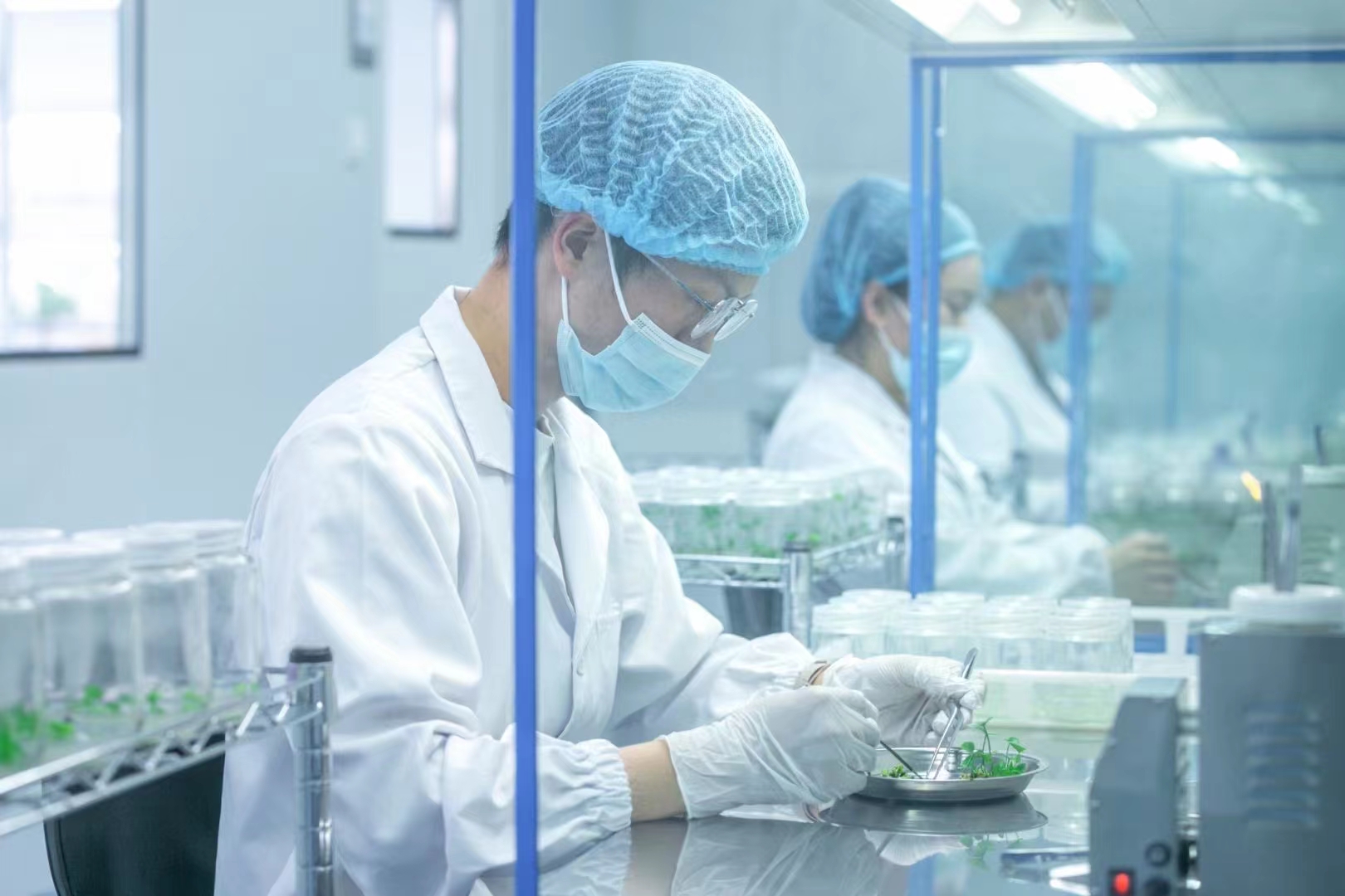 灭菌器  好色视频下载灭菌锅  高压灭菌设备